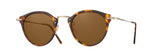 Eyevan Sunglasses 0505SG - Demi Tortoise and Gold | ABCGlasses.com
