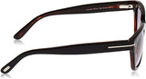 Tom Ford Luxury Sunglasses - FT0237 Snowdon 05B Black/Dark Amber | ABCGlasses.com