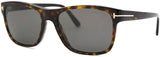 Tom Ford Designer Sunglasses - FT0698 Giulio Tortoise | ABCGlasses.com