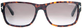 Tom Ford Designer Sunglasses Mason TF445 52B Havana Frame | ABCGlasses.com